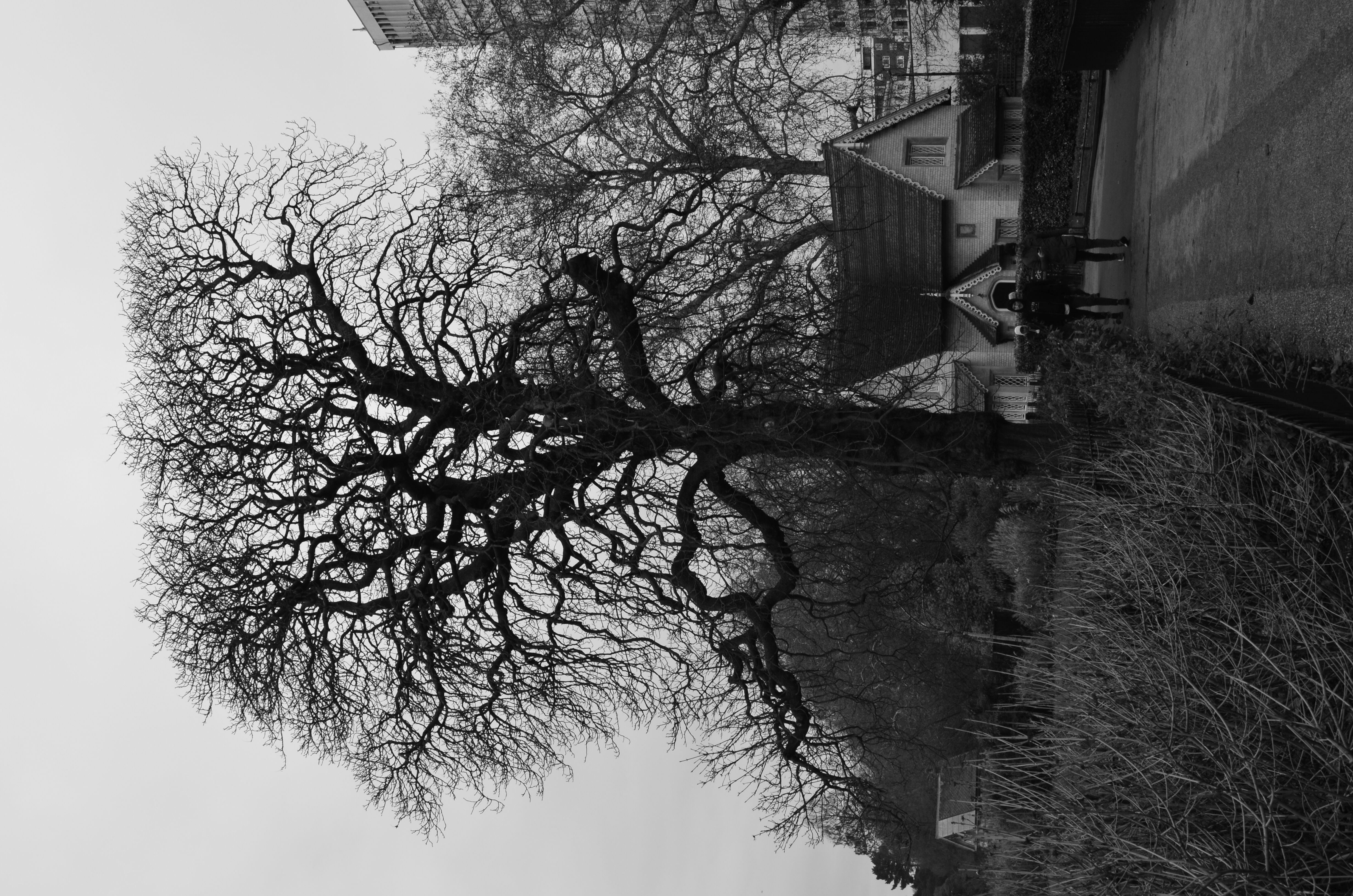 ./2018/15 - London/03 - Day 3/CSC_0651.JPG